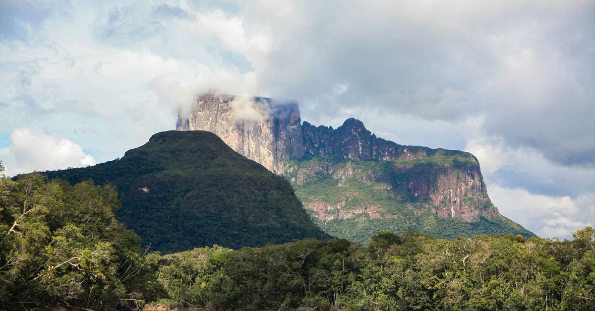 Angel Falls : Guide voyage Venezuela 2026