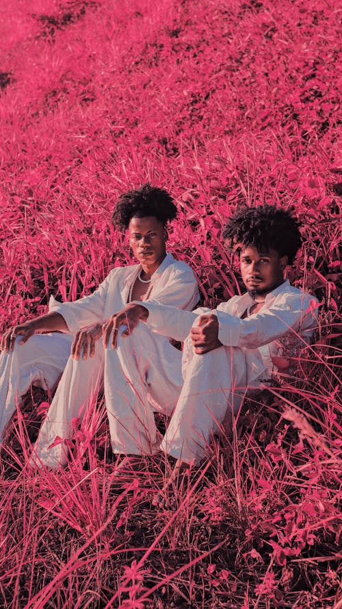 Men Sitting in Pink Grass