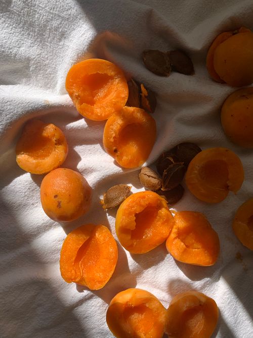 Free Close-up of fresh apricots halved on a white textured fabric, highlighting natural ripeness. Stock Photo