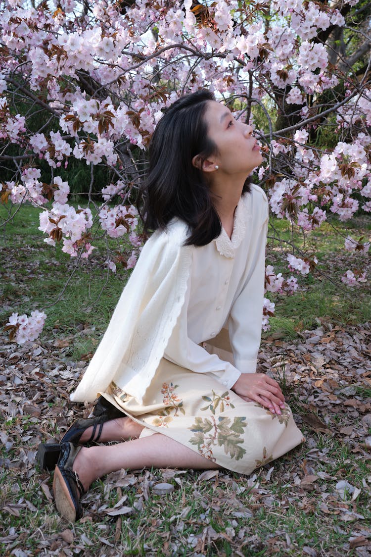 A Woman Sitting Under The Cherry Blossom Tree