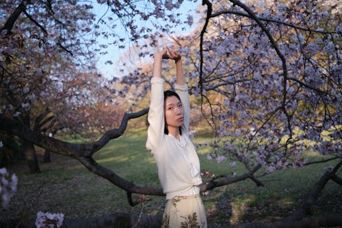 Foto stok gratis angkat tangan, berbunga, bunga sakura