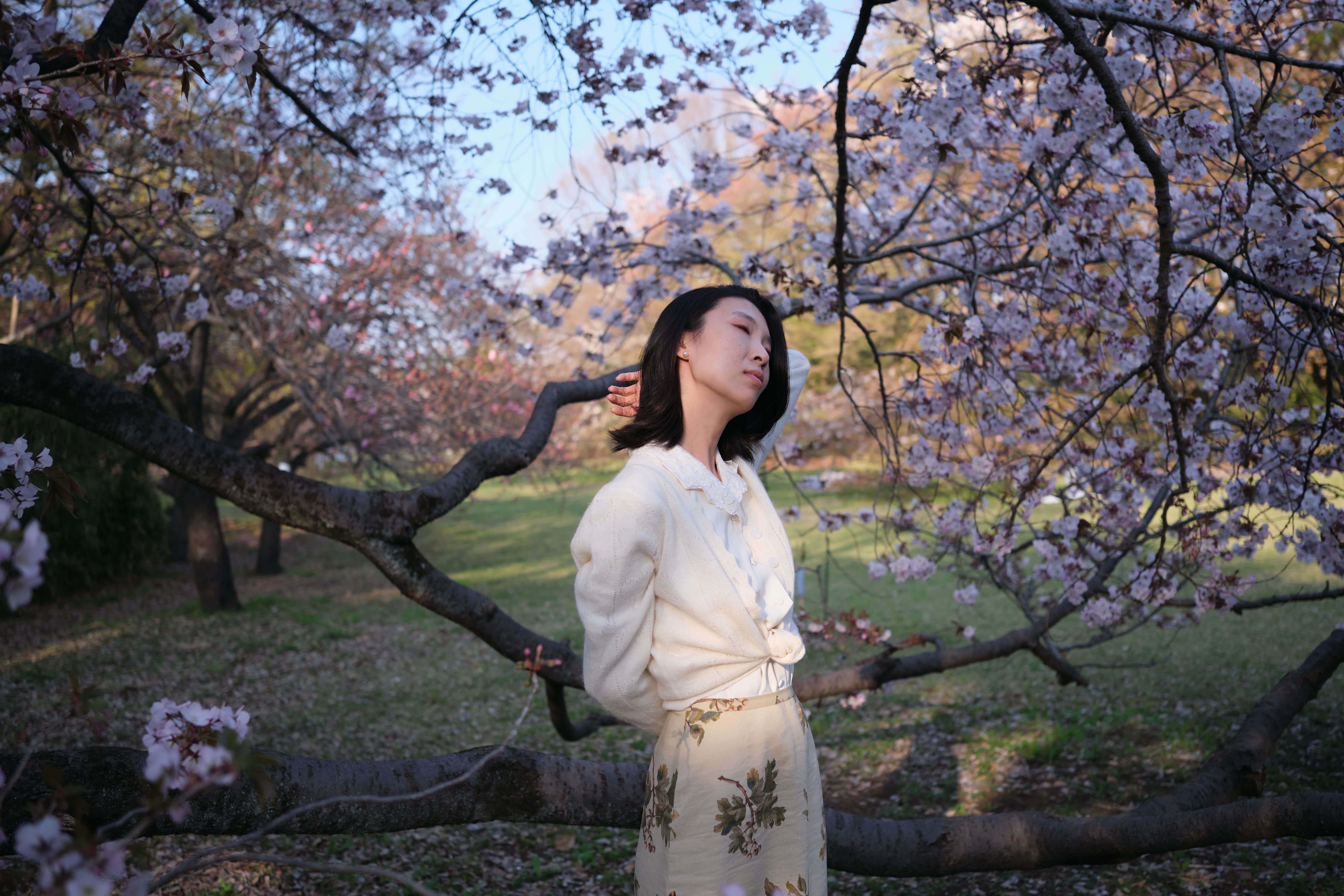 A Woman Standing Under the Cherry Blossom Tree · Free Stock Photo