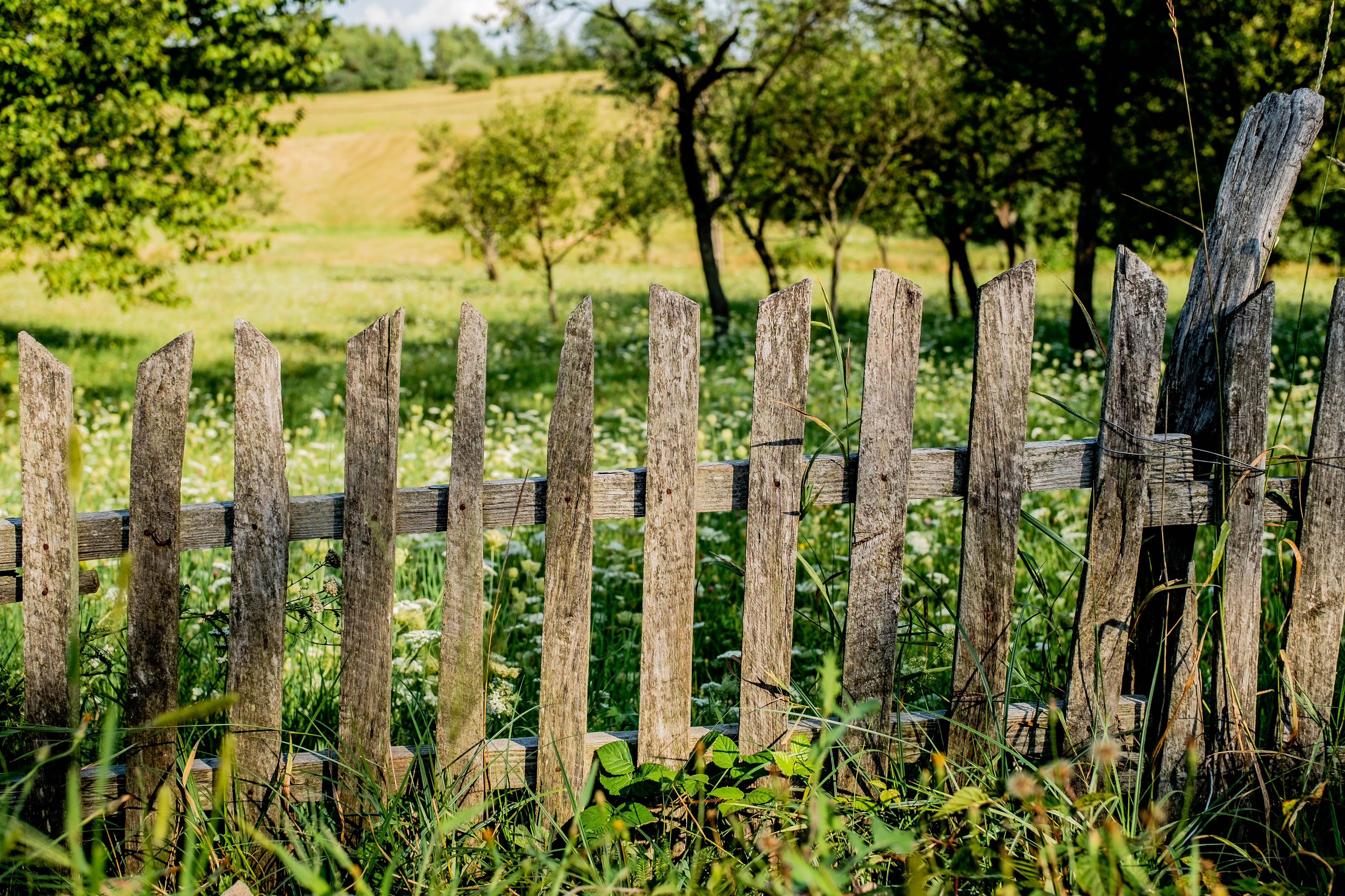 Brown Wooden Fence on Green Grass Field · Free Stock Photo