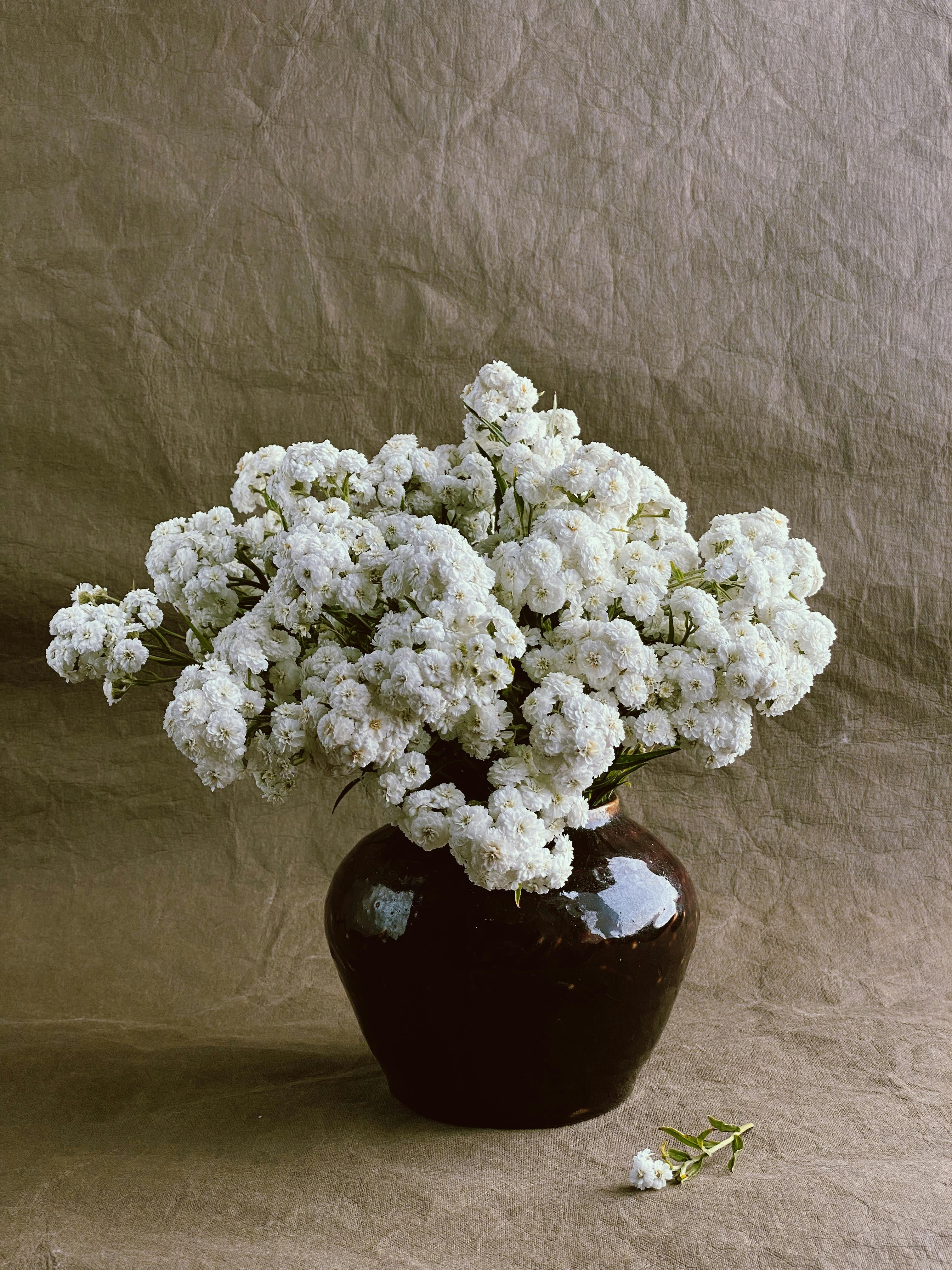 A tasteful arrangement of white flowers in a dark brown vase against a textured backdrop.