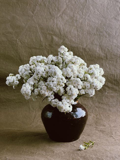 A tasteful arrangement of white flowers in a dark brown vase against a textured backdrop.