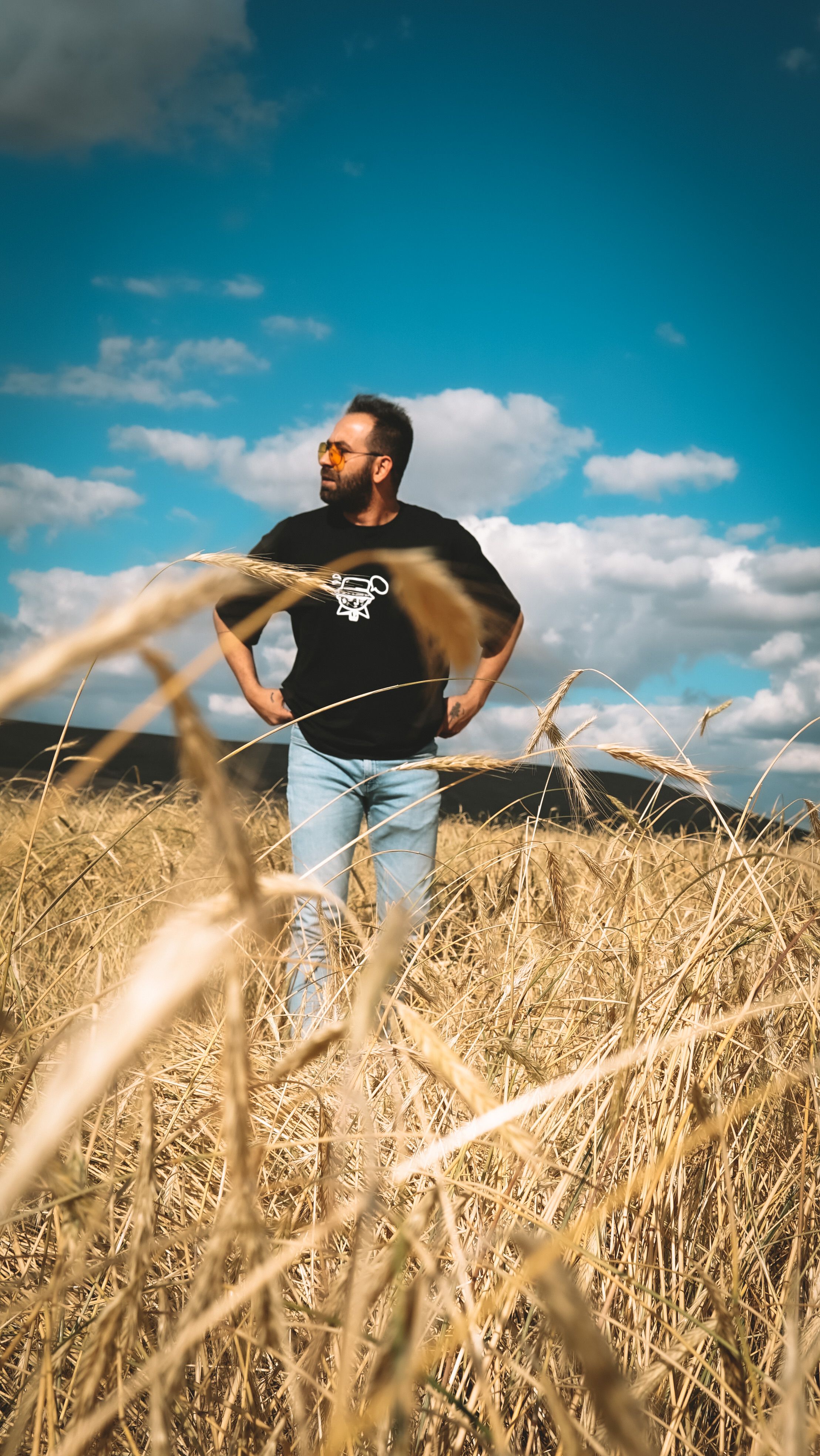 A man with a beard in a black t-shirt stands confidently in a golden wheat field under a clear blue sky.