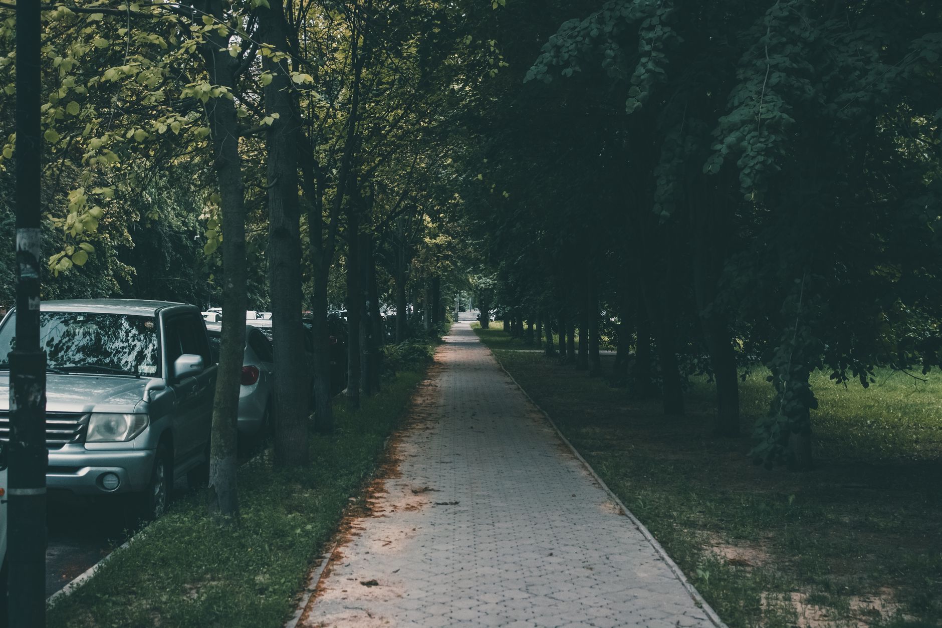 Pittsburgh parks: a local's guide to the best green spaces