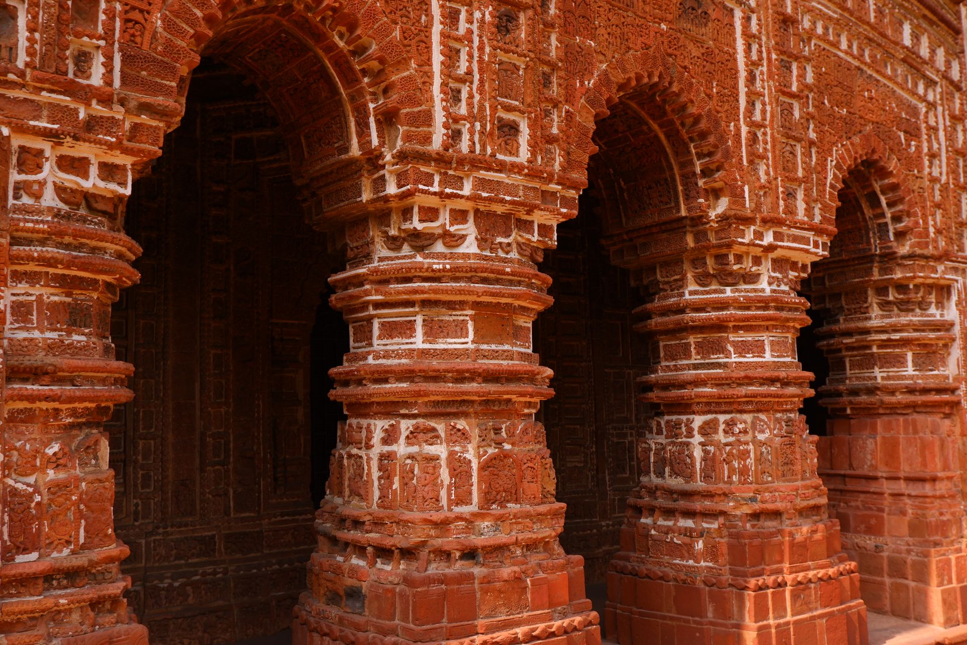 Close-up of Shyam Rai Temple's reddish-brown intricate carvings showcasing historical Indian architecture.