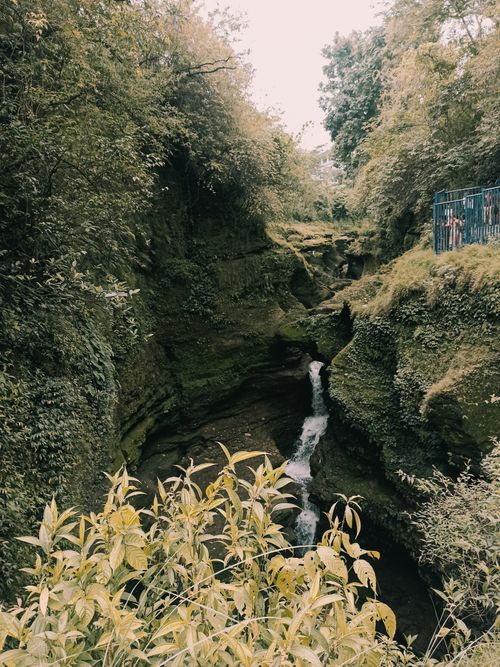Free Davis fall Stock Photo