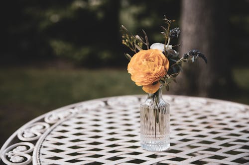 無料 ガラス花瓶, テーブル, パターンの無料の写真素材 写真素材