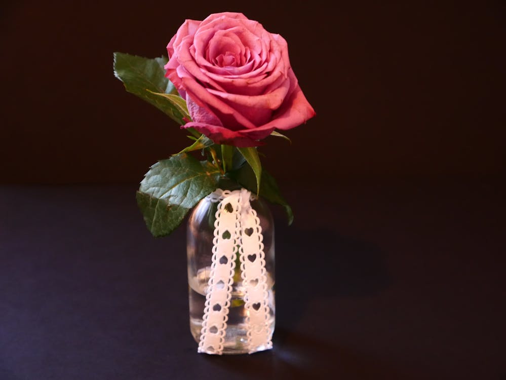 ピンクのバラ 無料の写真素材