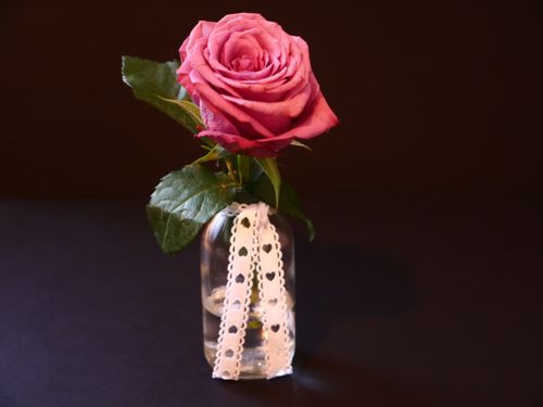 Free A beautiful pink rose in a stylish vase with lace ribbon against a dark backdrop. Stock Photo