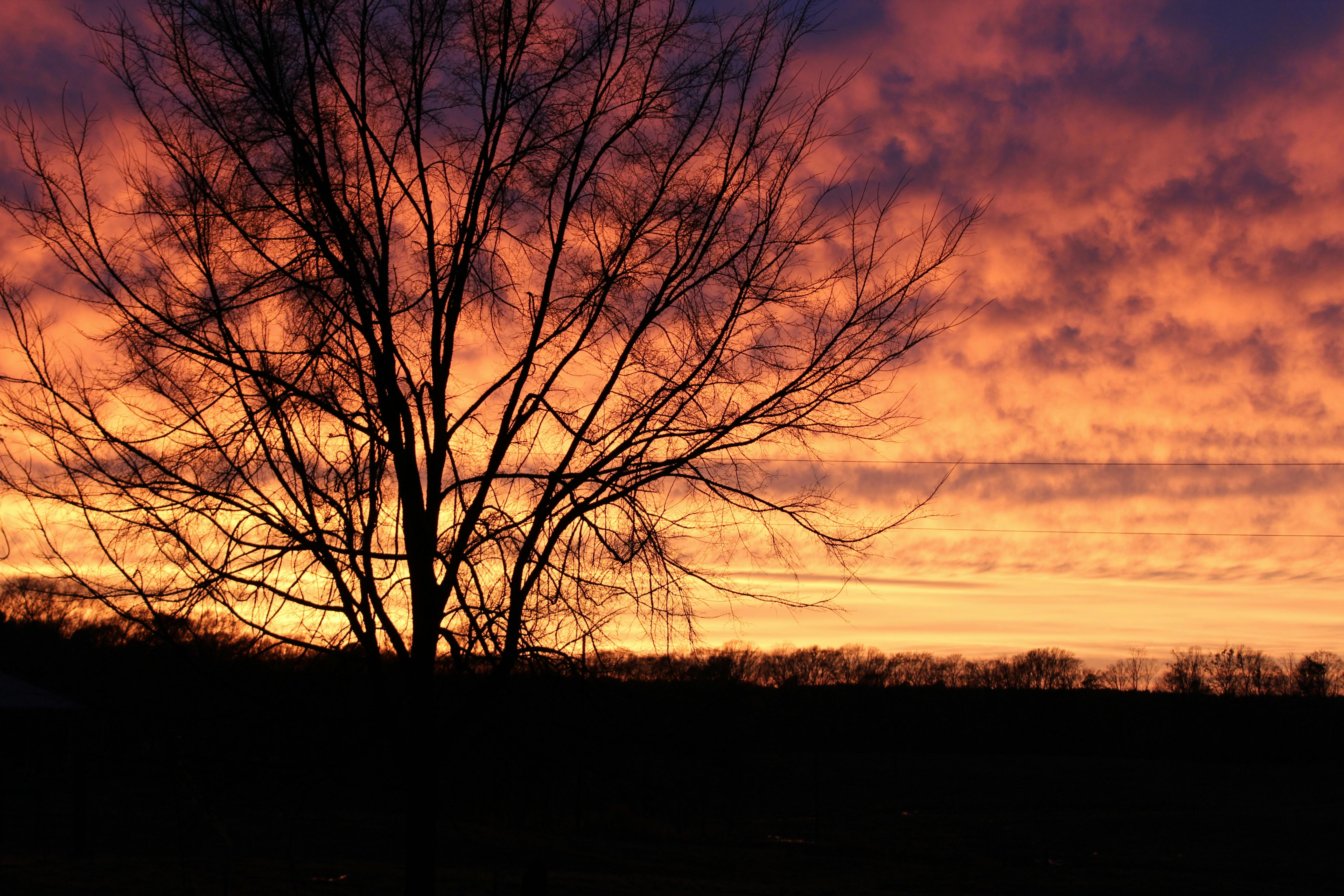 Red Clouds during Golden Hour · Free Stock Photo