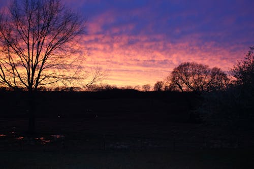 Mississippi Purple Sunset 