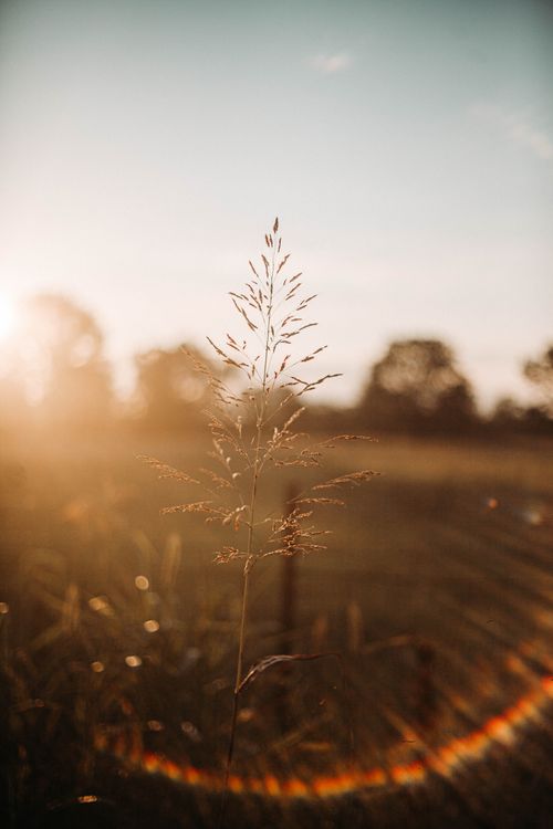 Free stock photo of 2020 wallpaper, 4k wallpaper, aesthetic wallpaper Stock Photo