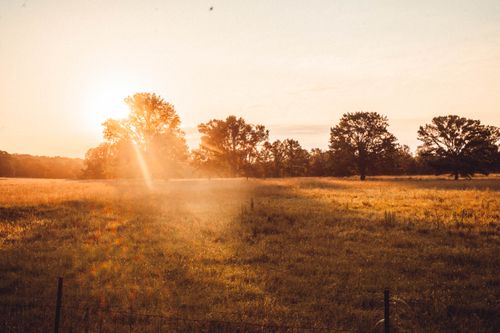 Free stock photo of colors, field, sun Stock Photo