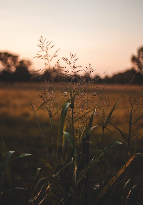 Free stock photo of lighting, mood, sunrise Stock Photo