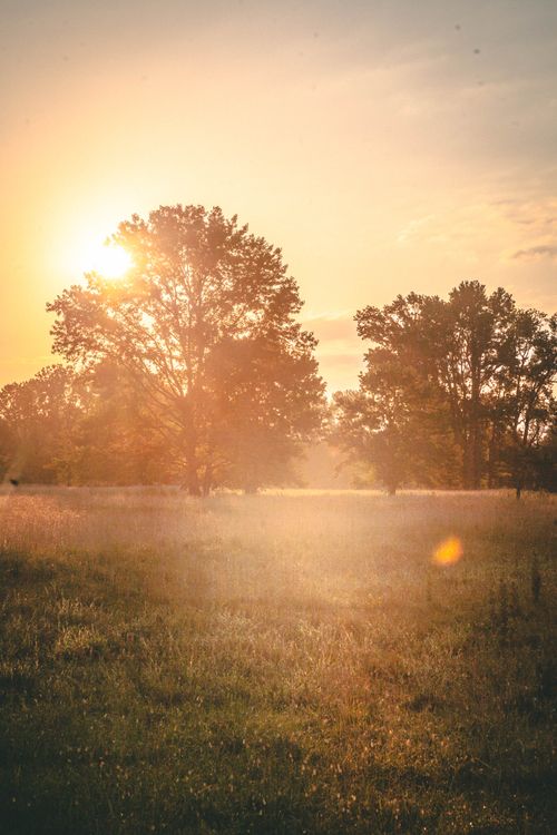 Free stock photo of light, sun, sunrise Stock Photo