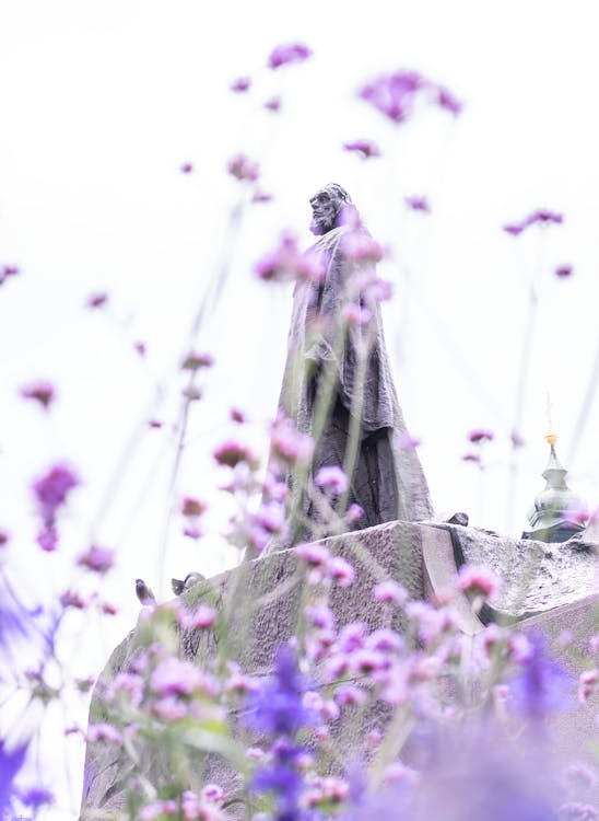 Statue And Purple Flowers