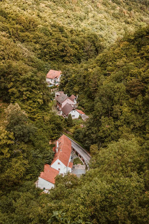 бесплатная Аэрофотосъемка коричневого и белого домов Стоковое фото