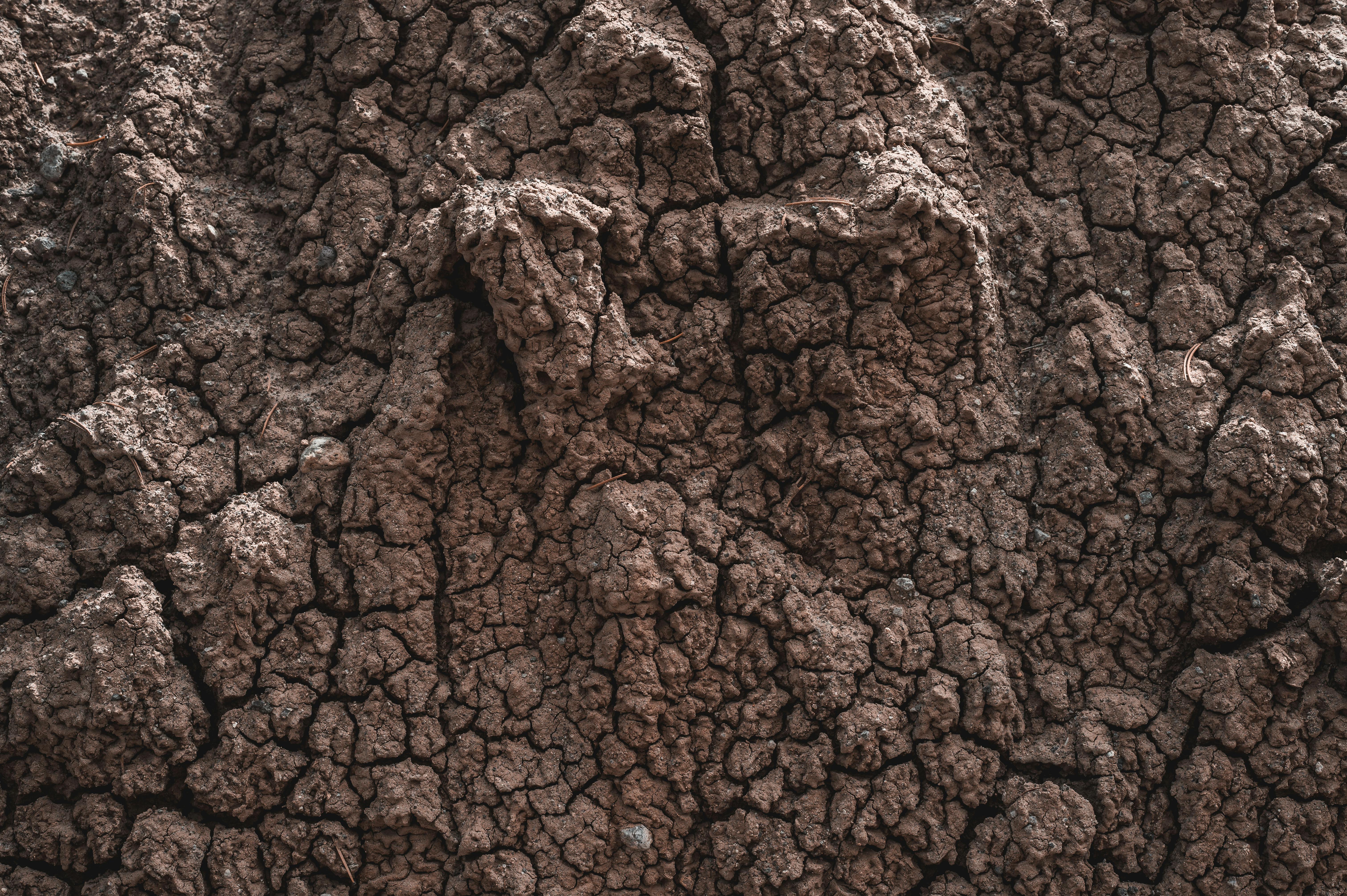 Will the Earth ever stop rotating?