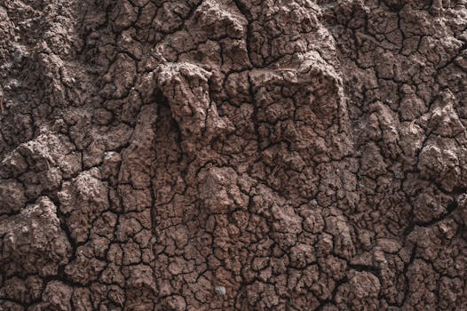 High-resolution image of dry cracked earth texture perfect for background design.