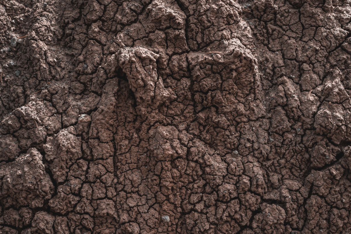 close up of cracked dry agricultural soil