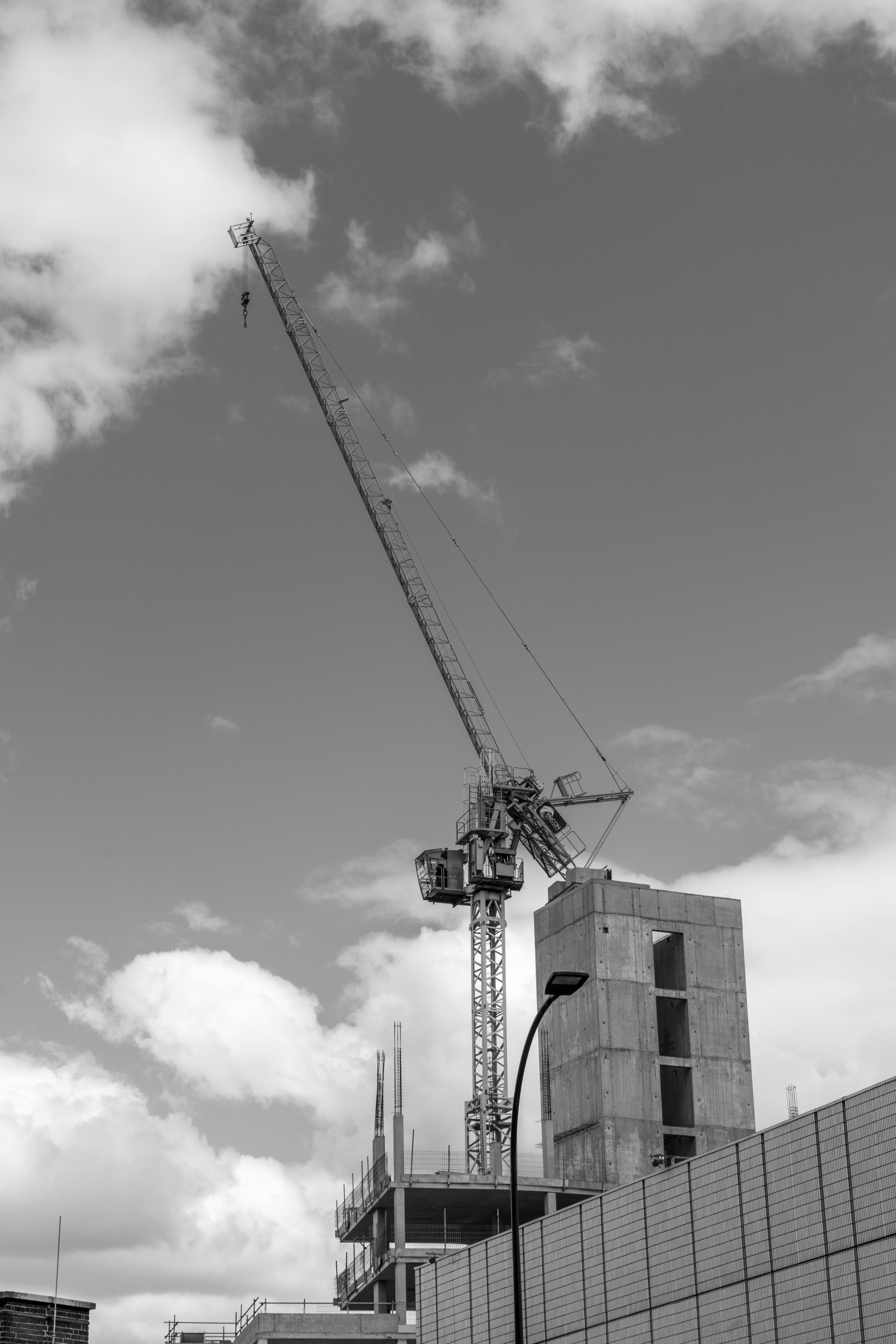 Photo by William Sutherland