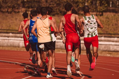 Free Men competing in a running event on a sunny outdoor track, showcasing athleticism and determination. Stock Photo