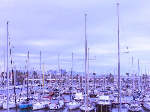 Boats in the Marina