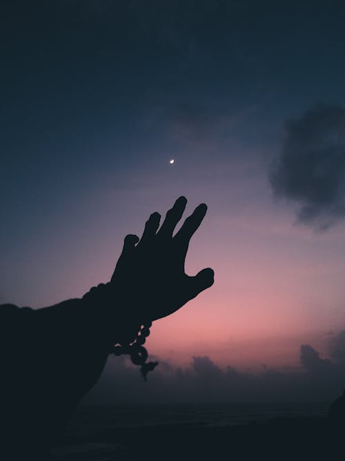 Silhouette of Person's Hand during Dusk 