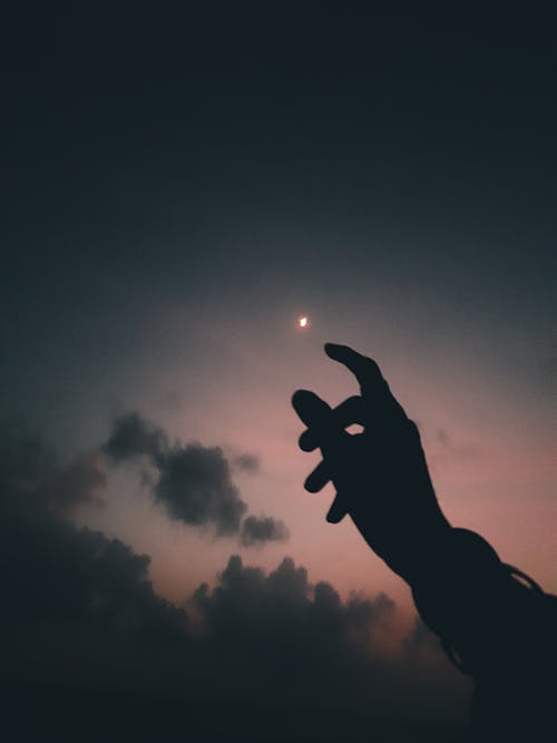 Silhouette of Person's Hand during Dusk