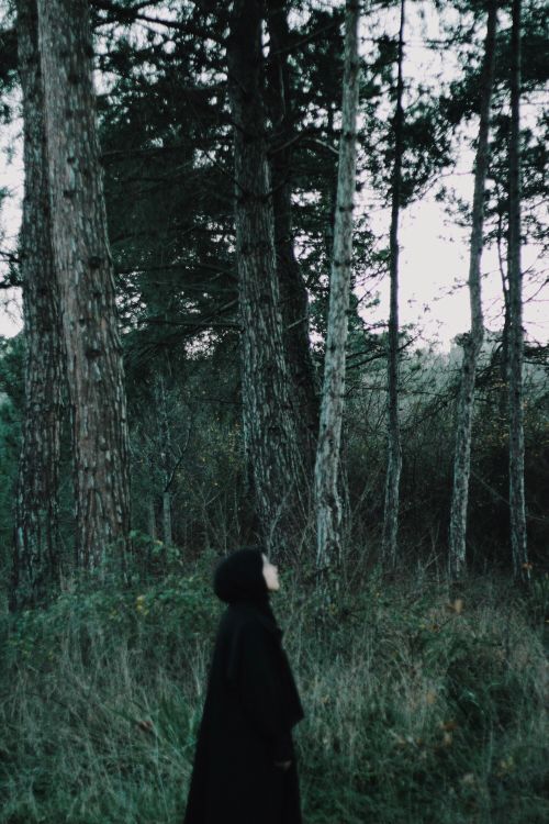 Free A woman wearing a black hijab stands in a serene forest, creating a mystical and introspective scene. Stock Photo