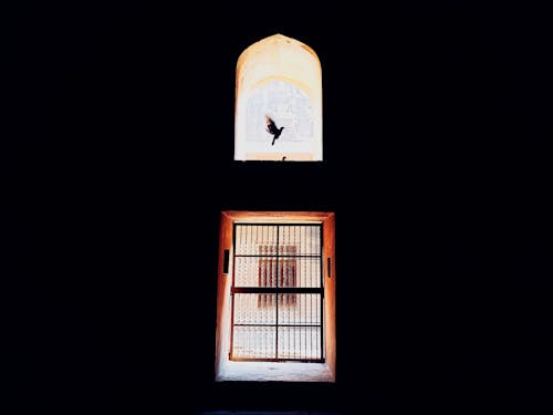 ฟรี คลังภาพถ่ายฟรี ของ ซิลูเอตต์, ทางเข้าประตู, นกพิราบ คลังภาพถ่าย