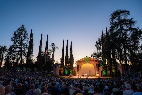 Crowd in a Live Concert 