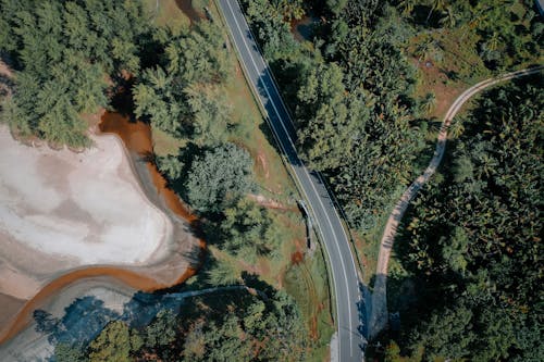 Foto profissional grátis de árvores, estrada, filmagem aérea