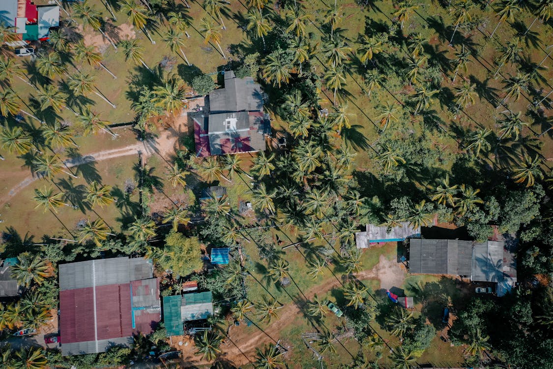 Fotobanka s bezplatnými fotkami na tému dedinský, domy, fotografia z dronu