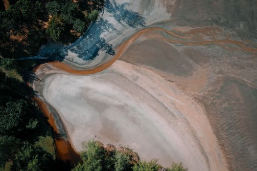 Aerial Footage of Green Trees and Brown Sand