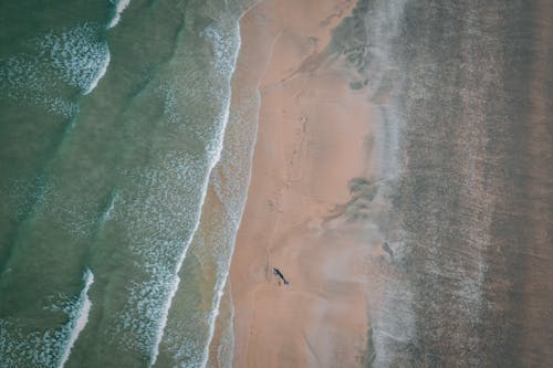 Fotobanka s bezplatnými fotkami na tému breh, fotografia z dronu, kývať