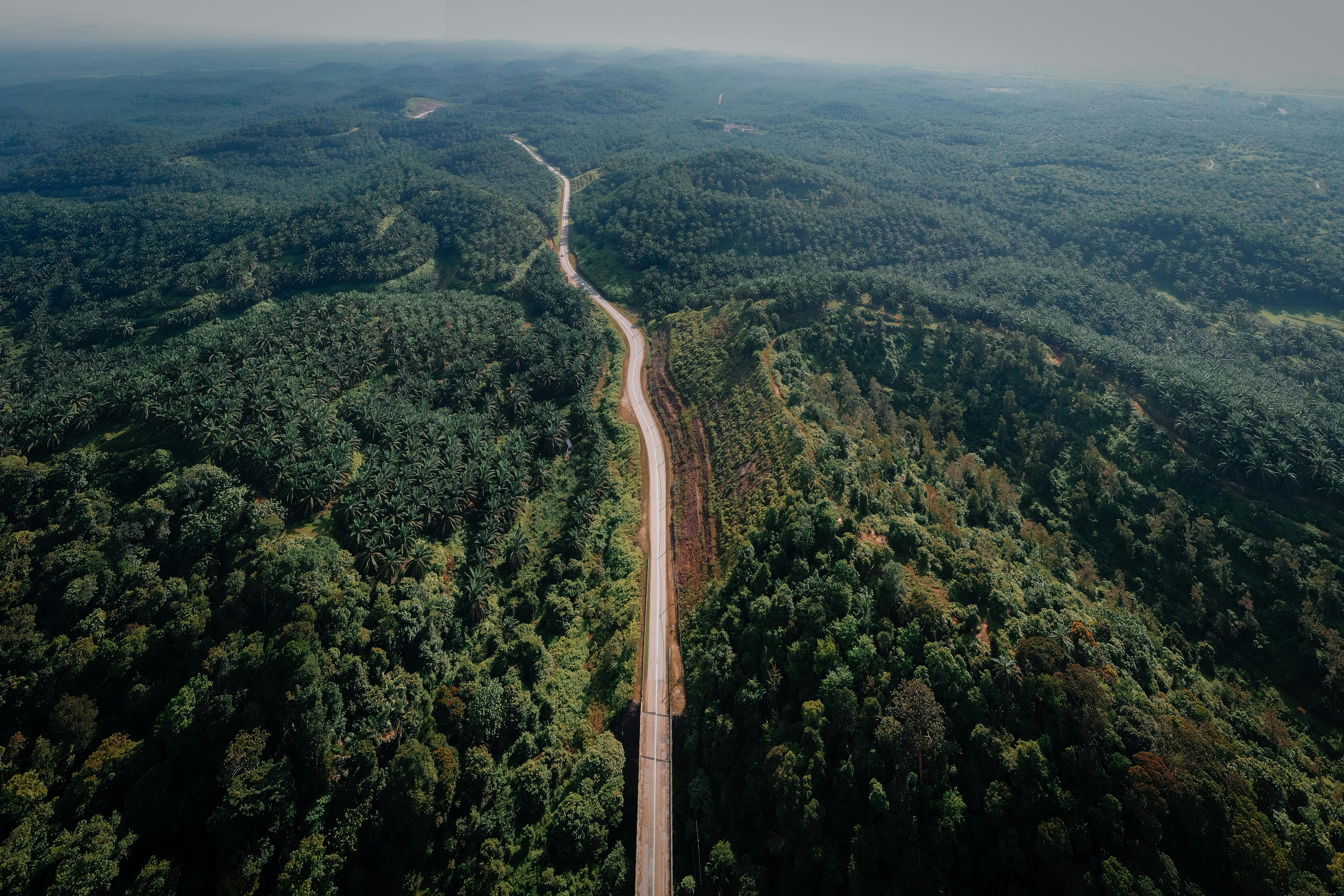 ACRES ESG, Executive Compensation, and Corporate Governance: 2025 SEC Filing Overview — Photo by Pok Rie on Pexels