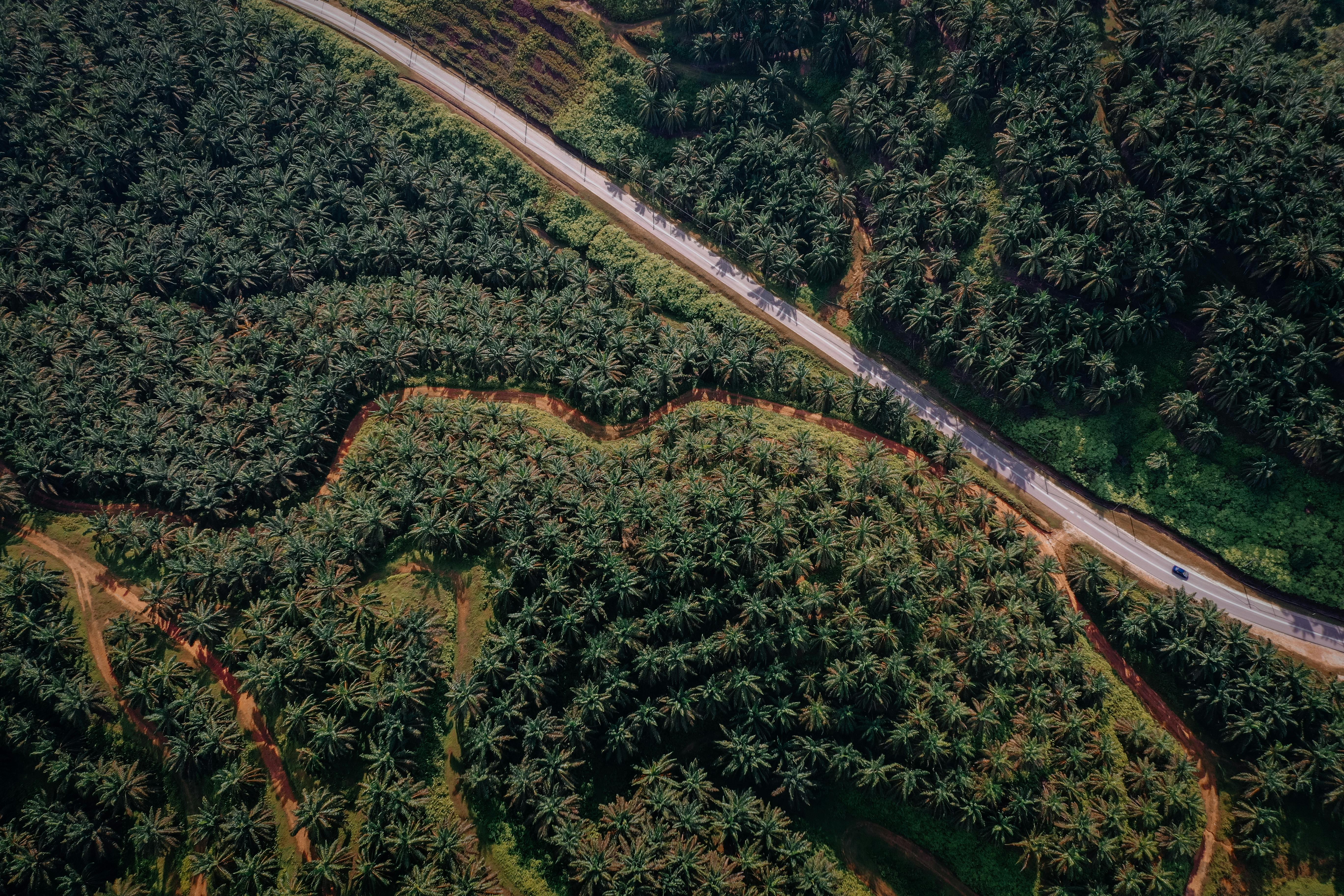corporate governance esg esg what is governance — Photo by Pok Rie on Pexels