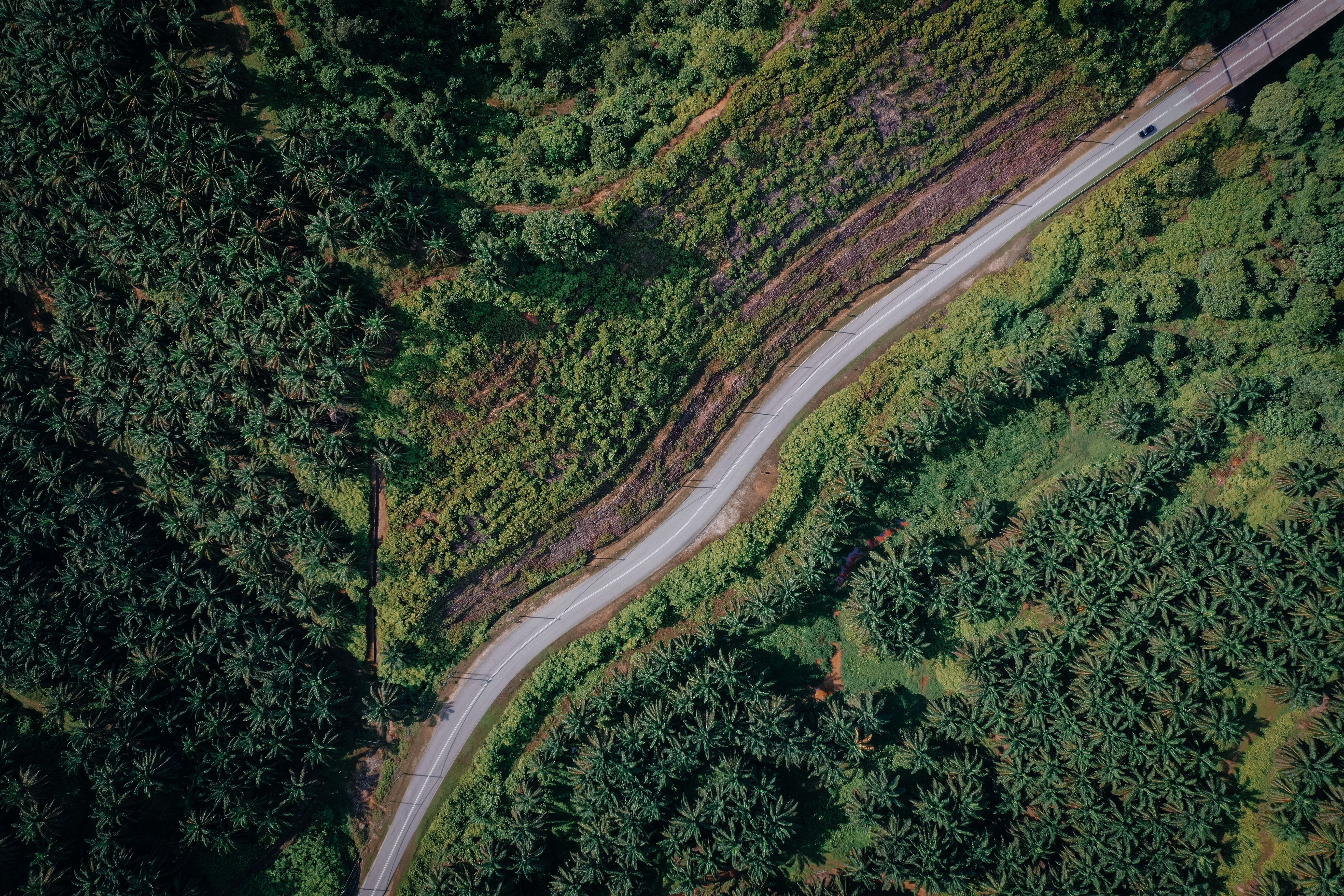 corporate governance esg — Photo by Pok Rie on Pexels
