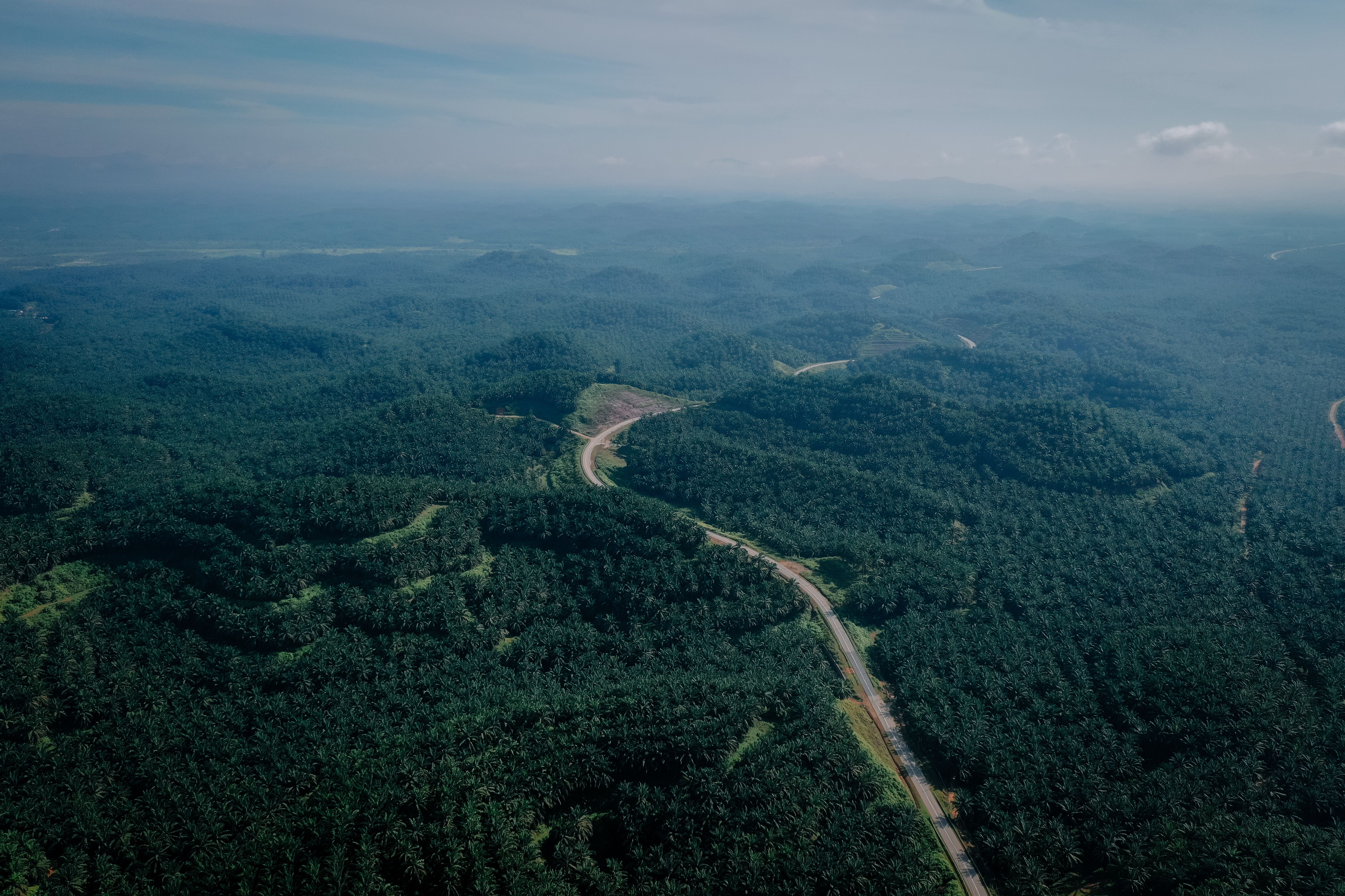Perak Strengthens Green Energy Push With Hydro Life Extension Programme — Photo by Pok Rie on Pexels