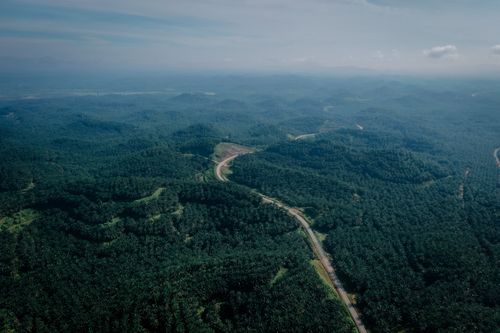 Free Expansive aerial view of a dense, green rural landscape with winding roads and forested areas. Stock Photo
