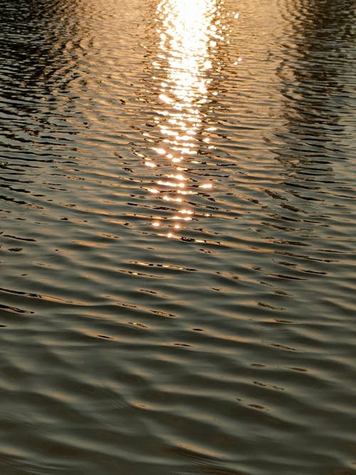 Reflection of Sun on Body of Water 