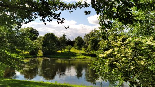 Free Tranquil lake surrounded by lush greenery and trees under a bright blue sky. Stock Photo