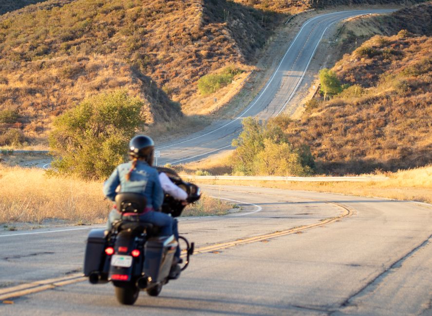 A motorcyclist rides through winding country roads, enjoying an outdoor adventure.