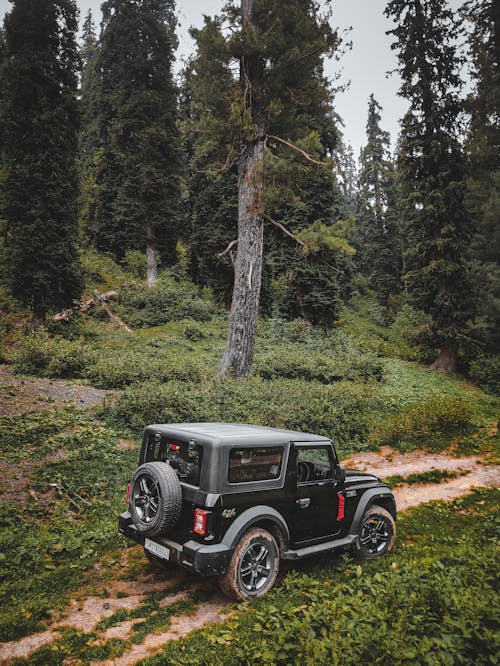 Black 4x4 Car on Dirt Road Surrounded by Green Trees