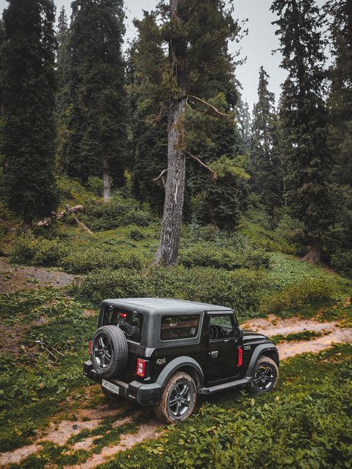 Free 4x4 vehicle navigating a dirt road through lush, dense forest terrain. Stock Photo