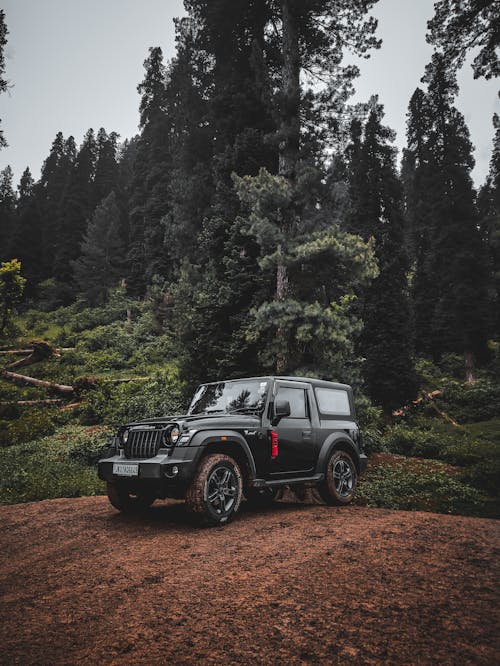 Black Jeep Wrangler on Dirt Road Surrounded by Green Trees